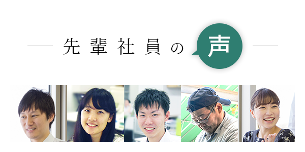先輩社員の声